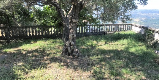 Appartamento al Piano Terra a Magli di CASALI DEL MANCO